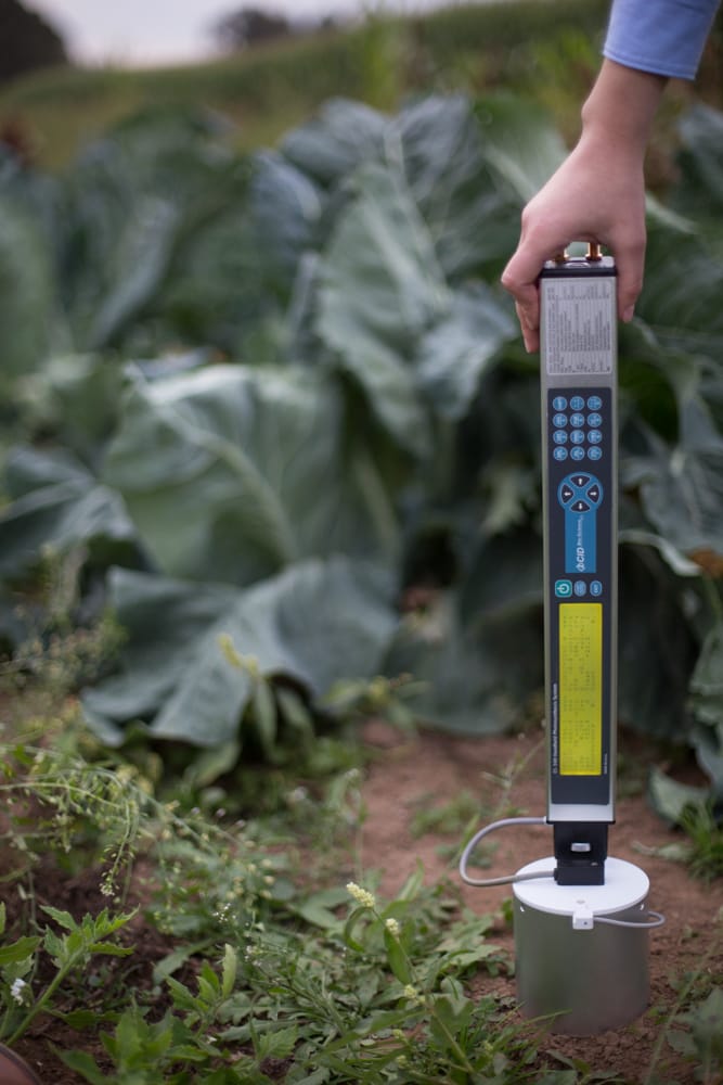 CI-340 Handheld Photosynthesis System