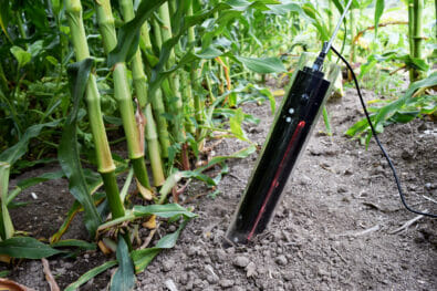 CI-600 In-Situ Root Imager