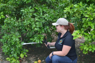 CI-110 Plant Canopy Imager: Field Work