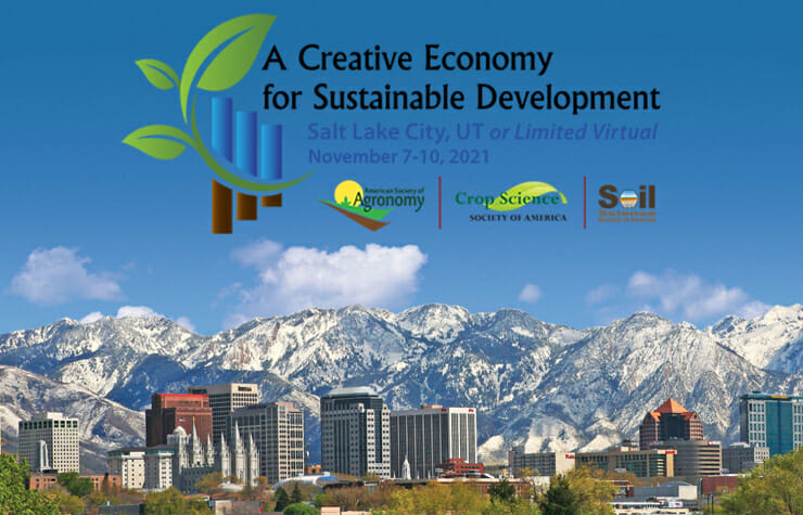 A CREATIVE ECONOMY FOR SUSTAINABLE DEVELOPMENT