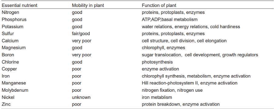 What Factors Affect Biomass Accumulation In Plants Cid Bio Science