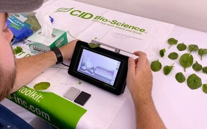 Scientist uses a leaf spectrometer to measuring spinach leaves in a lab