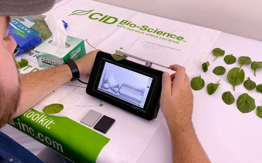 Scientist uses a leaf spectrometer to measuring spinach leaves in a lab