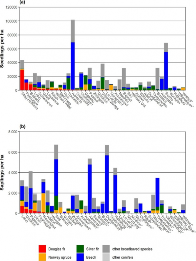 LAI and Nutrient Levels Affect Douglas Fir Regeneration - CID Bio-Science