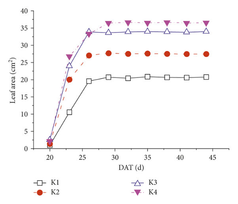 Seven Crucial Applications Of Leaf Area Data - CID Bio-Science