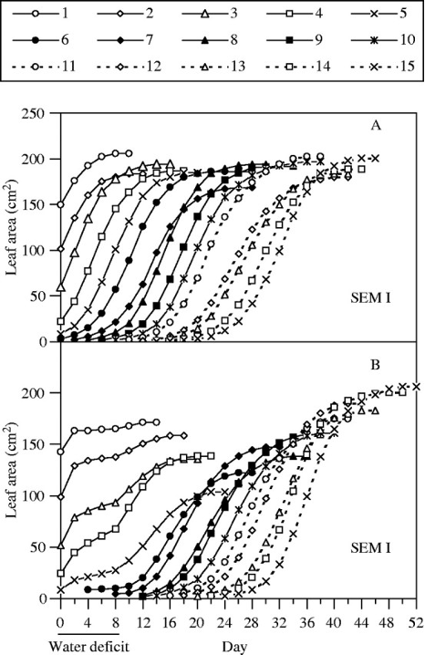 Seven Crucial Applications Of Leaf Area Data - CID Bio-Science