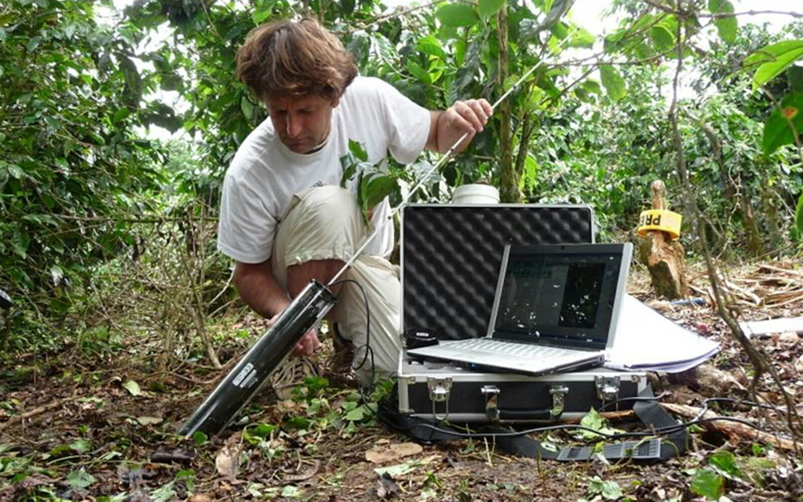 The Hidden Half of Plants - A Conversation with Christophe on Root ...