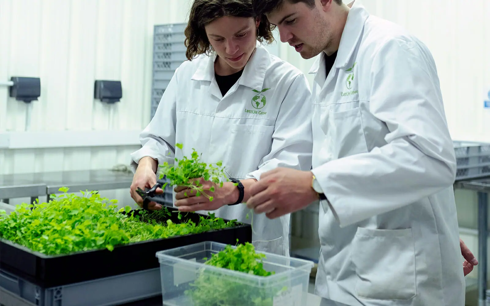 A Comprehensive Glossary of Plant Science Terms: Delving into the World of  Botanical Research - CID Bio-Science