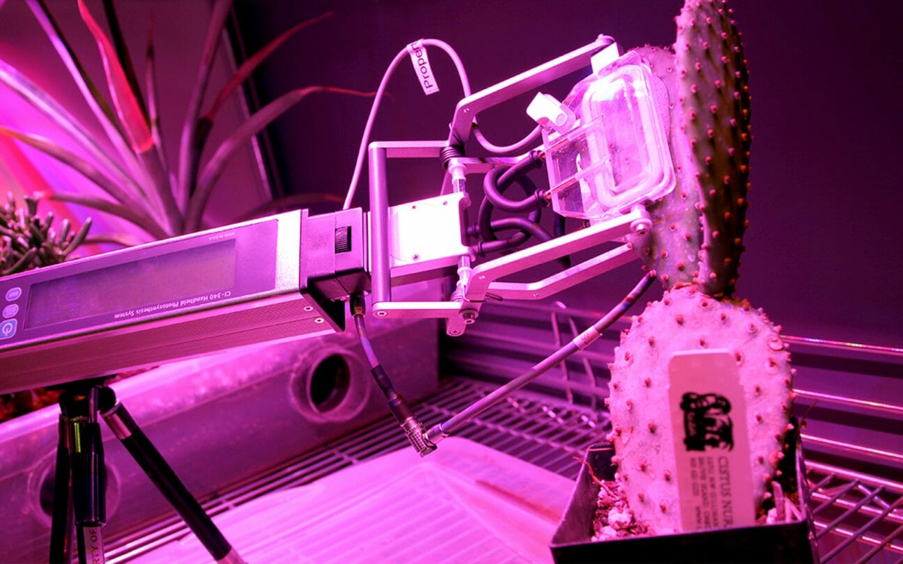 Exploring Plant Nutrient Status Q&A on Chlorophyll Fluorescence