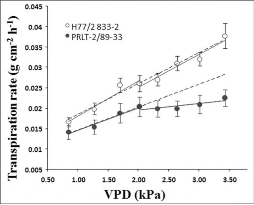 transpiration efficiency in crops
