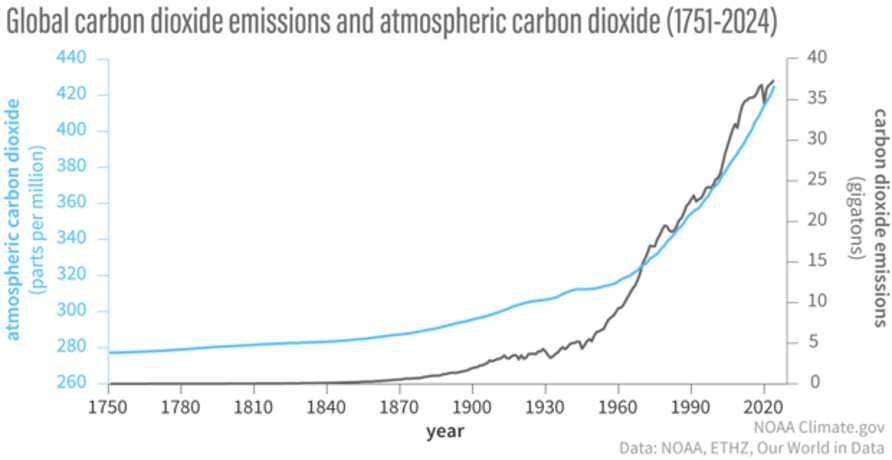 How Does Elevated Carbon Dioxide Affect Leaf Area in Plants?