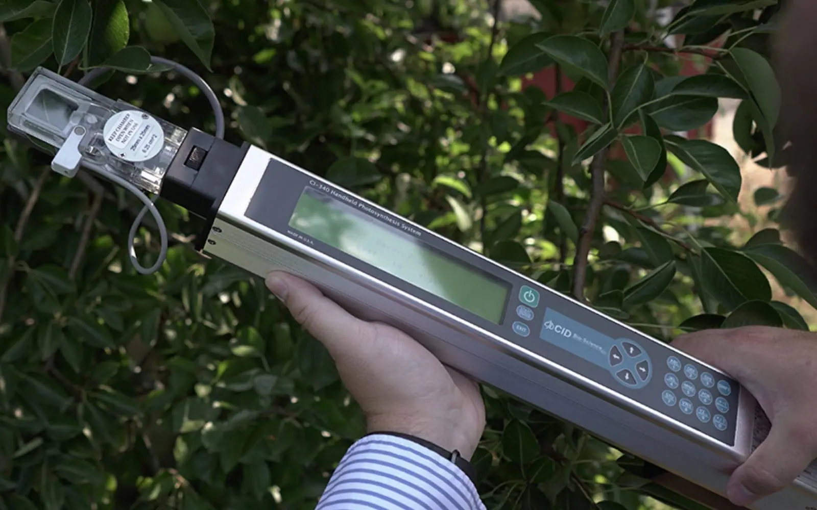 Ci-340 vs Lab Bench Systems: Portable Photosynthesis Advantages