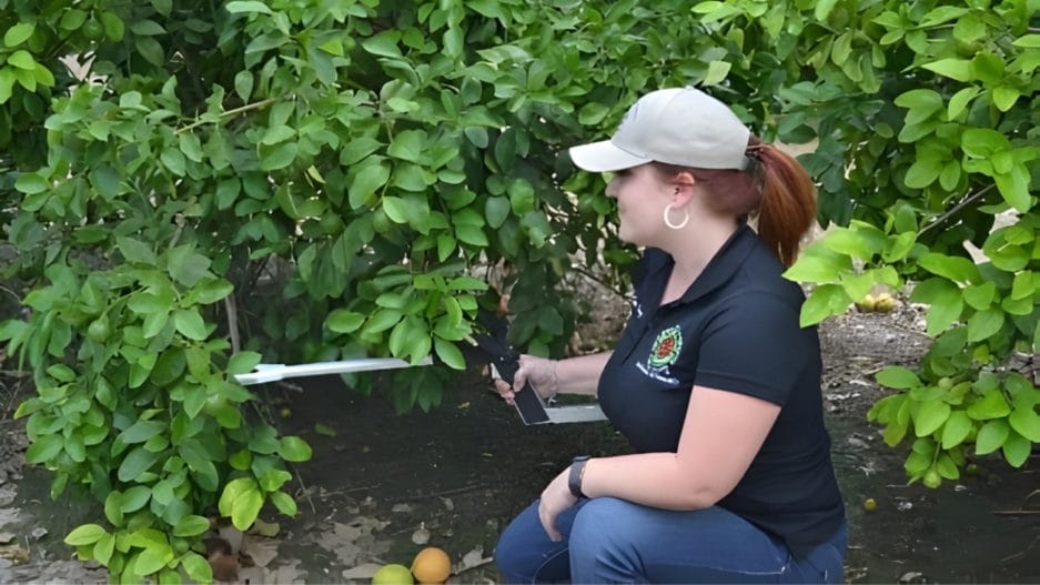 CID Bio-Science field software