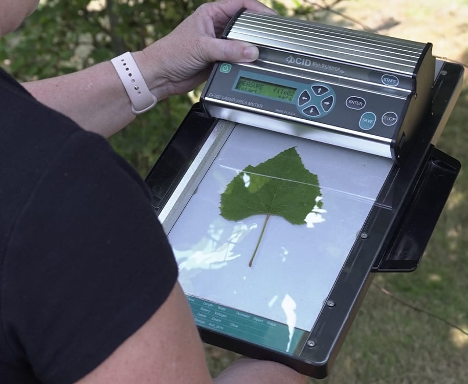 CI-202 Portable Laser Leaf Area Meter