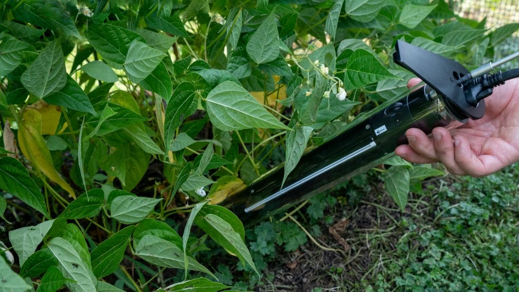 CI-602 Narrow Gauge Root Imager