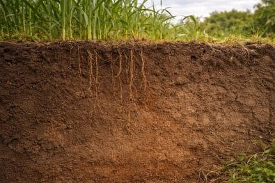 Selecting the Right Root Imager Depth, Resolution, Cover, and Cost