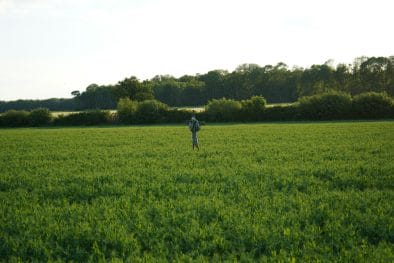 7 Protocols for Field Phenotyping That You Can Automate