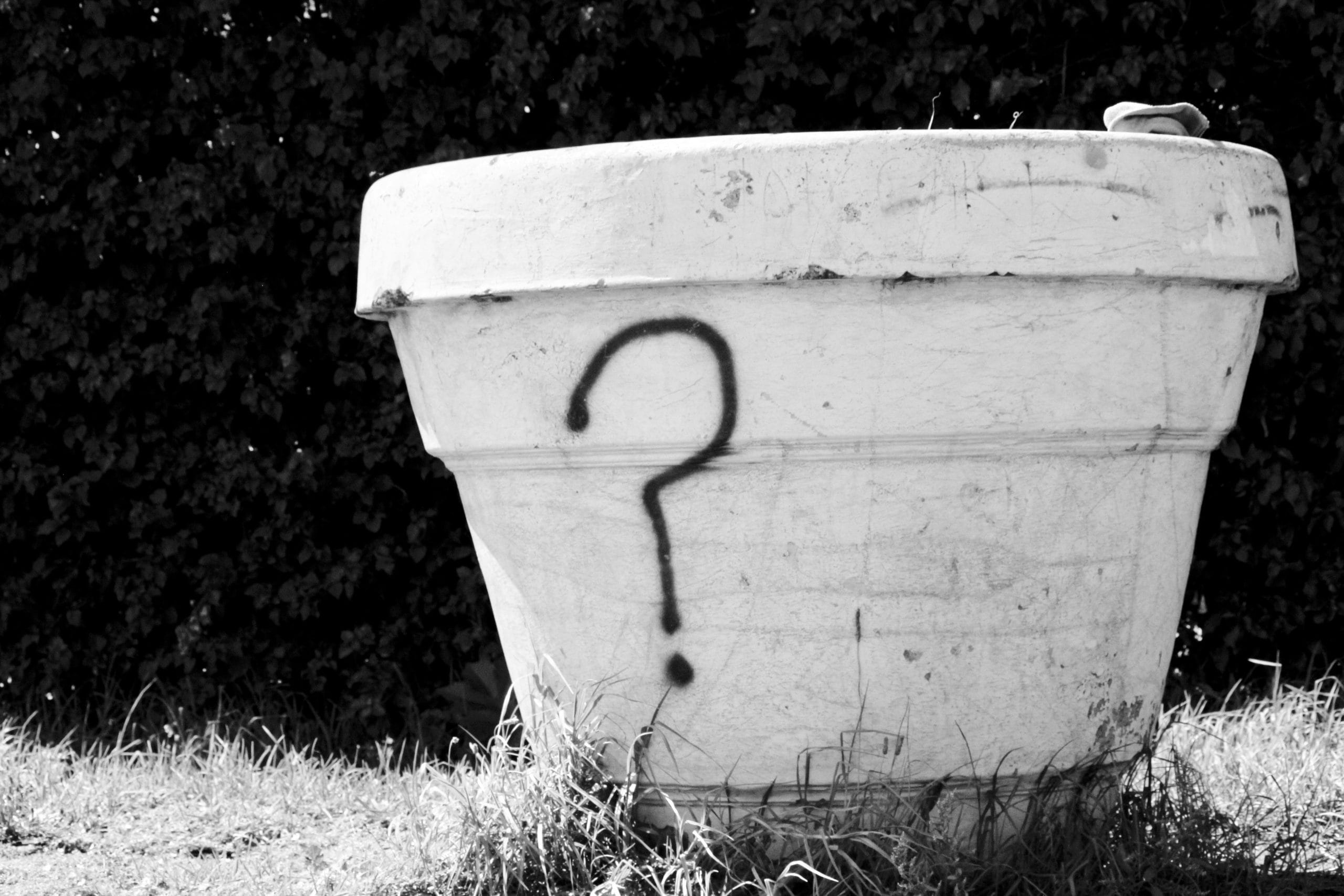 8 Questions to Ask Before Buying a Field Phenotyping Instrument