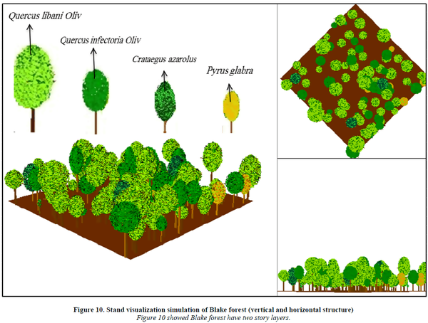 The Forest Canopy Structure Roles Measurement Tools For