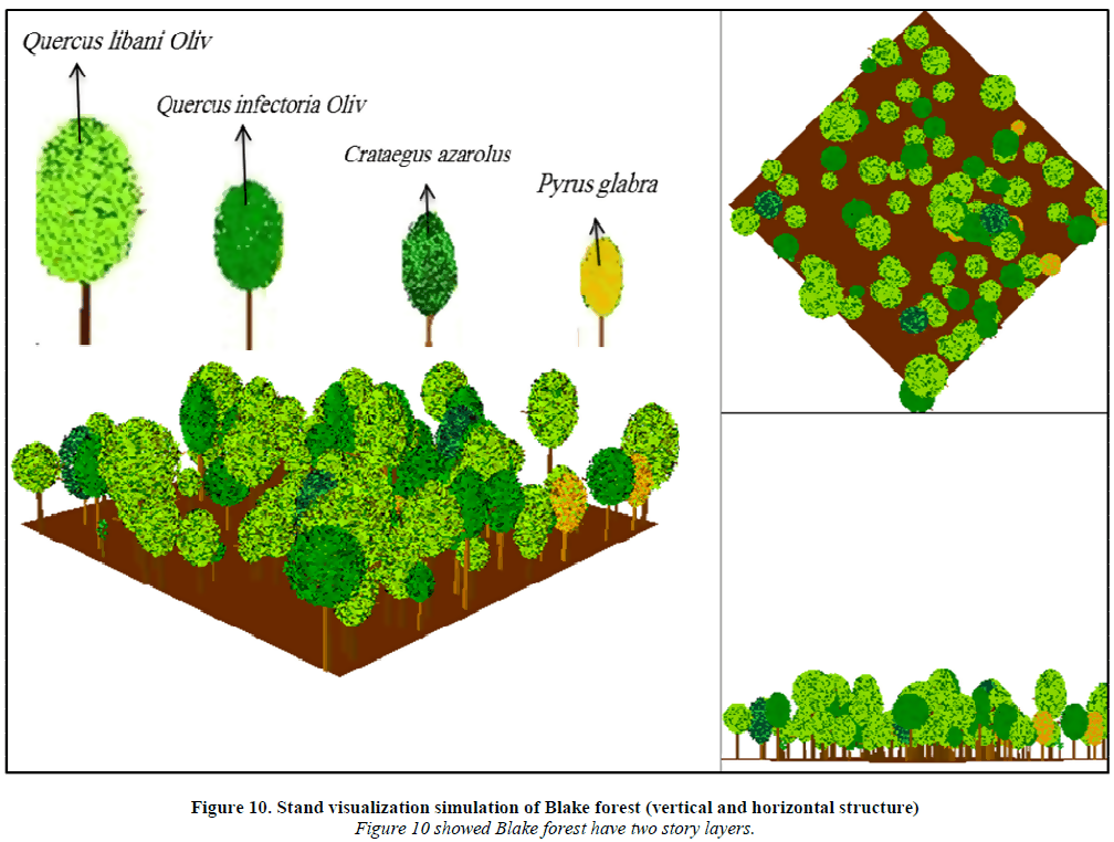 Tree Height Measurement, Forestry, Extension