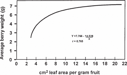 leaf area per gram fruit