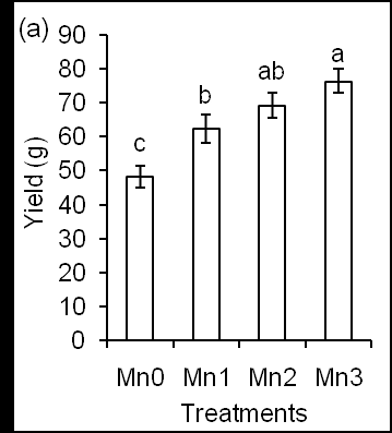 photosynthesis rate 1