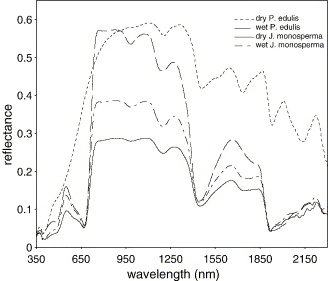 spectral signatures